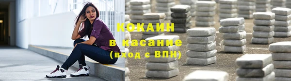 прущие грибы Баксан