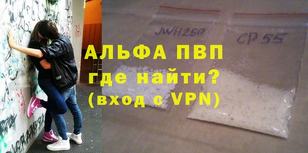 прущие грибы Баксан