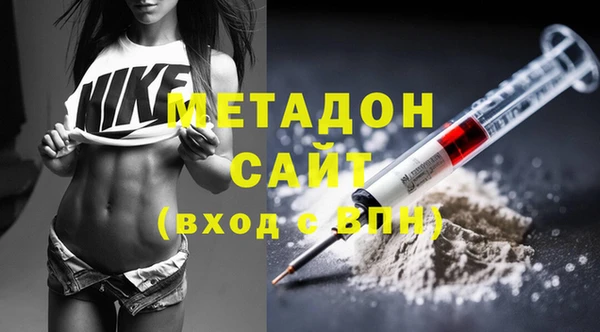 прущие грибы Баксан