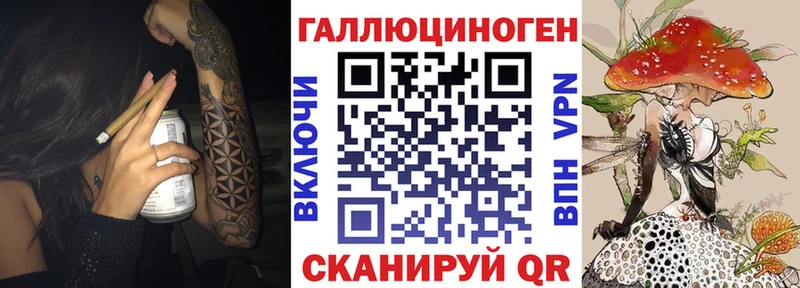 Псилоцибиновые грибы Psilocybe  Купить  Светлый 